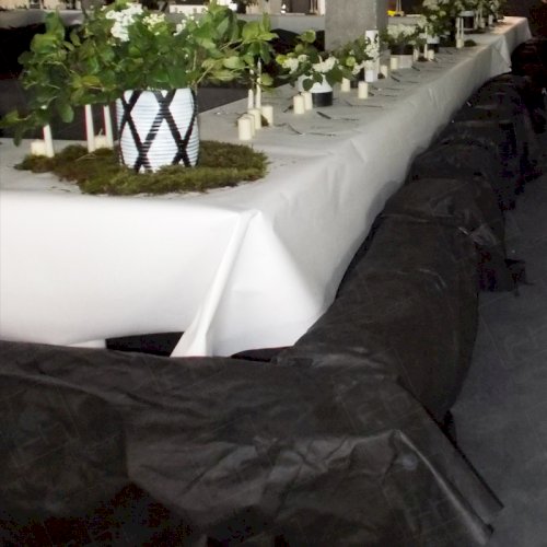 Art Launch with a Difference