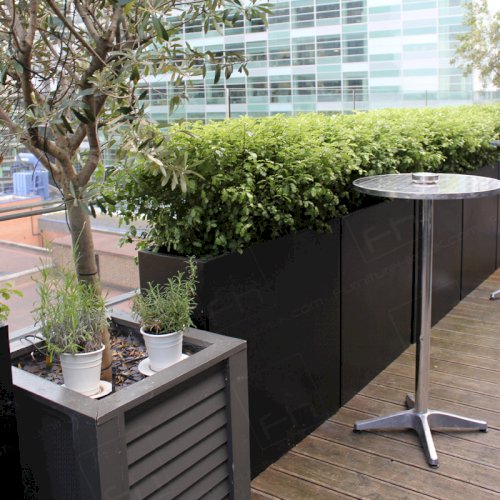 Exclusive Party Vibe