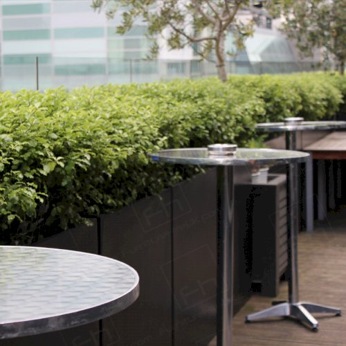 Exclusive Party Vibe