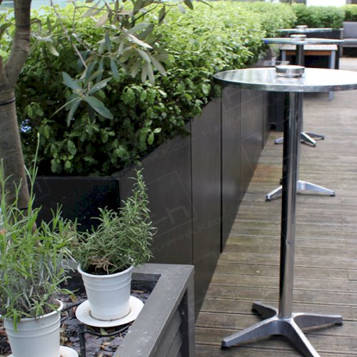 Exclusive Party Vibe