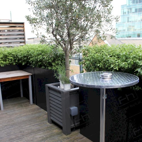 Exclusive Party Vibe