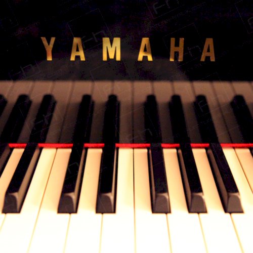 Jamie Cullum Concert