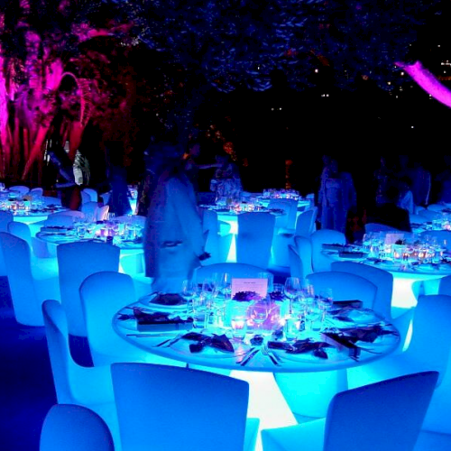 Illuminated Wedding