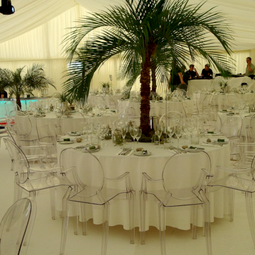 Palm Tree Wedding Set Up